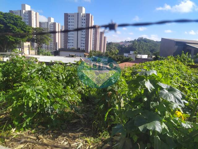 #515 - Área para Venda em Jundiaí - SP - 3