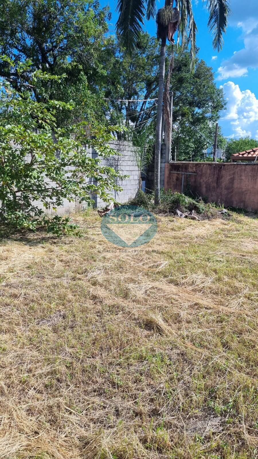 Terreno, 300 m² - Foto 5