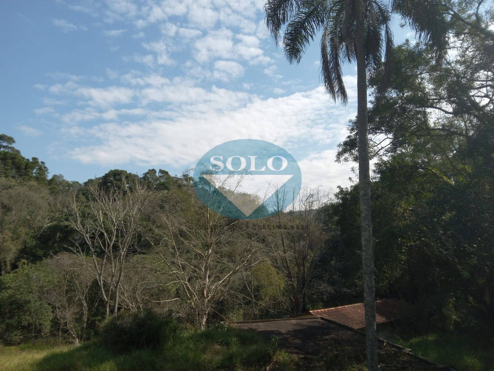 Sítio, 20 quartos, 10 hectares - Foto 15