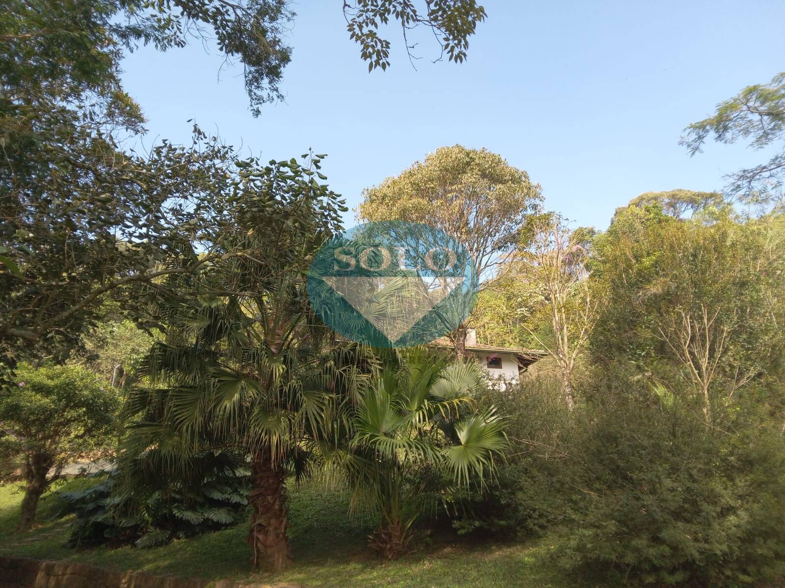 Sítio, 20 quartos, 10 hectares - Foto 14