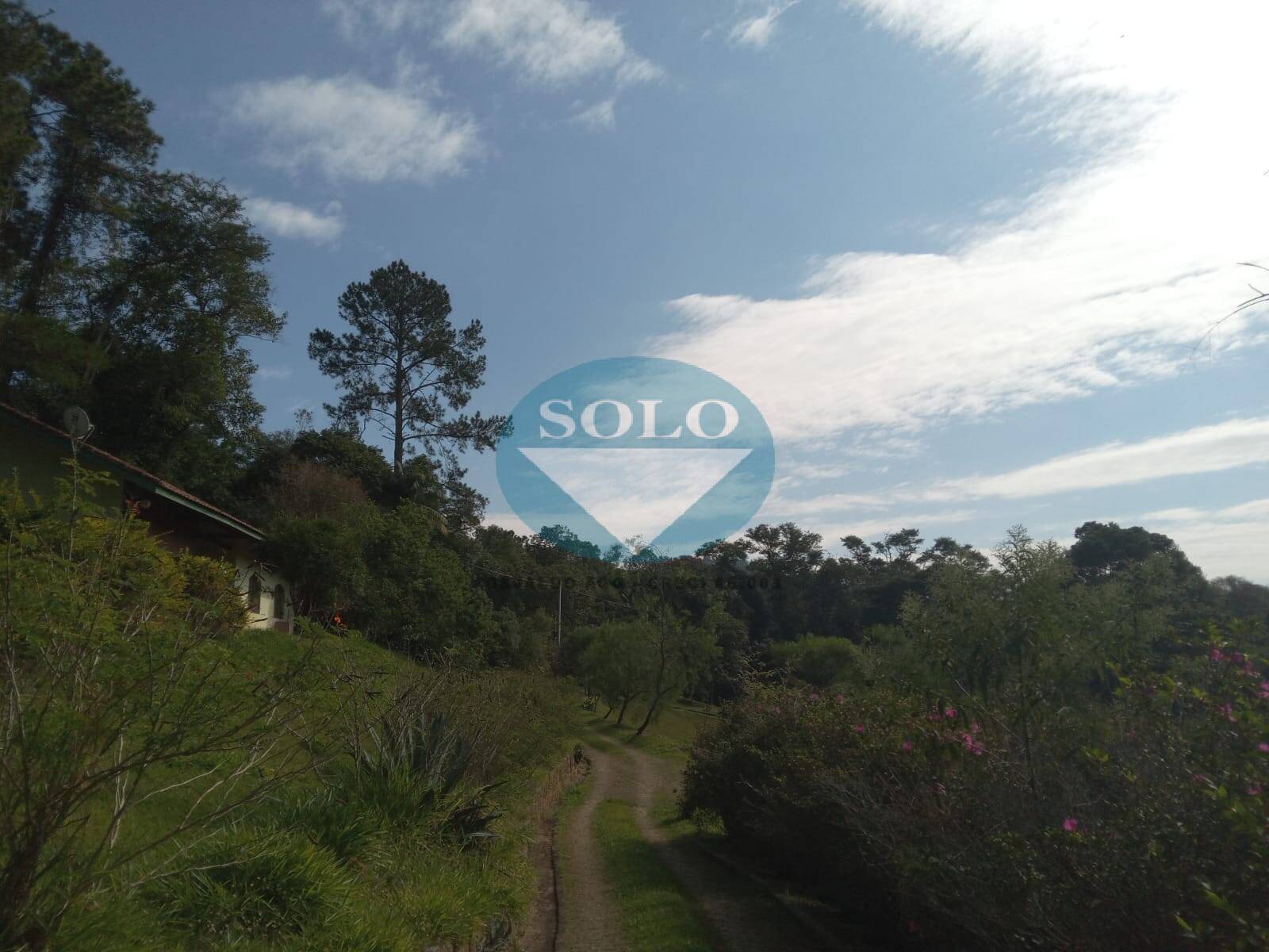 Sítio, 20 quartos, 10 hectares - Foto 22