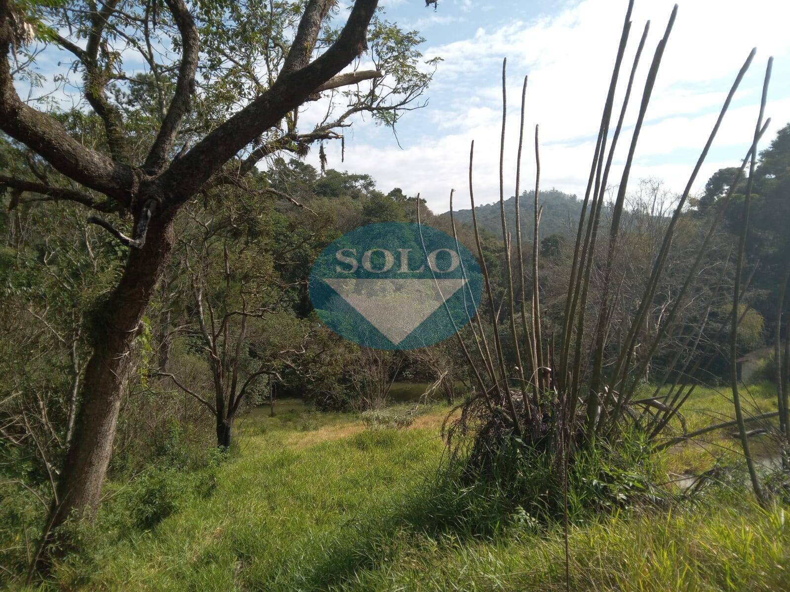 Sítio, 20 quartos, 10 hectares - Foto 27