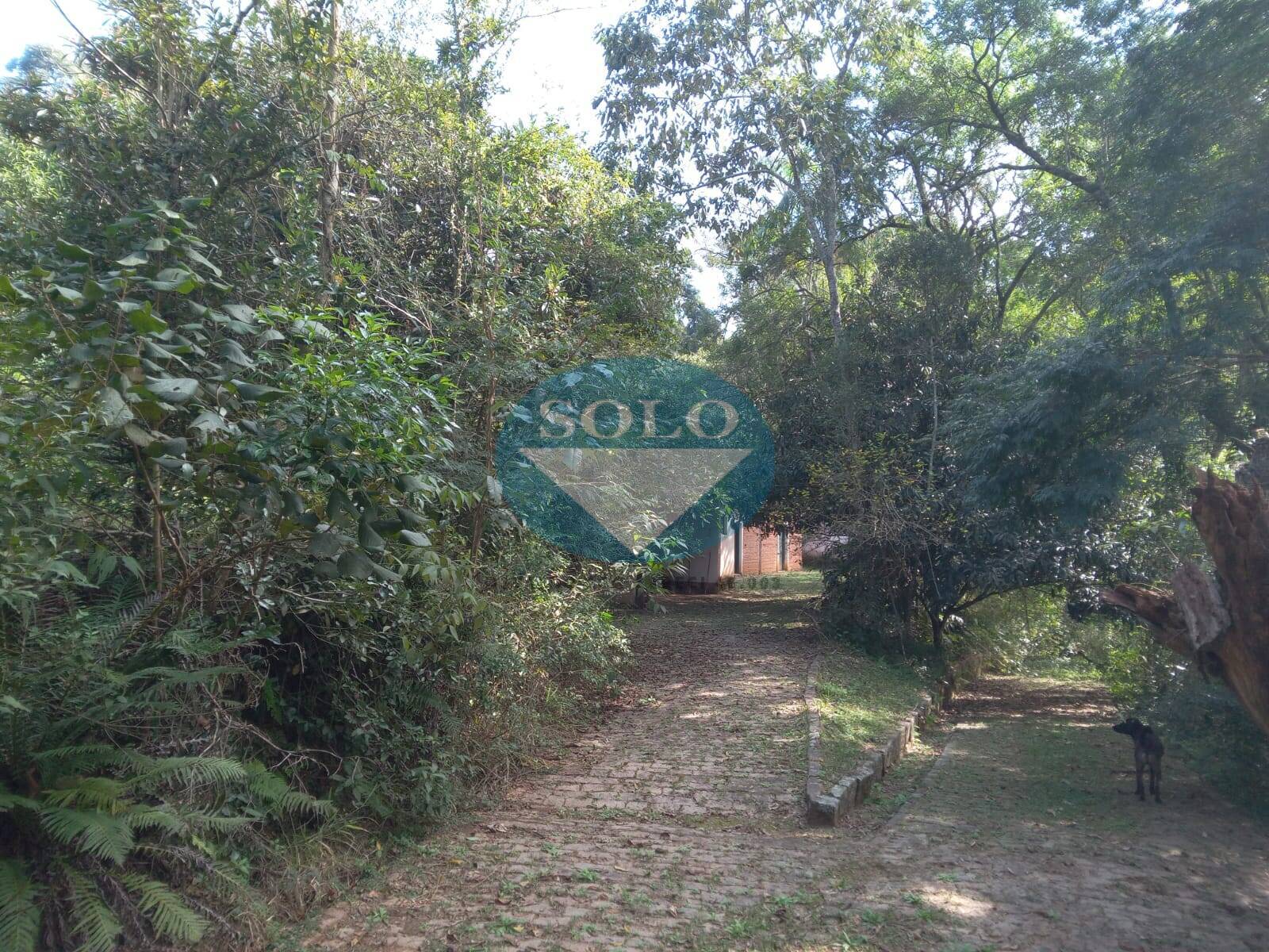 Sítio, 20 quartos, 10 hectares - Foto 31