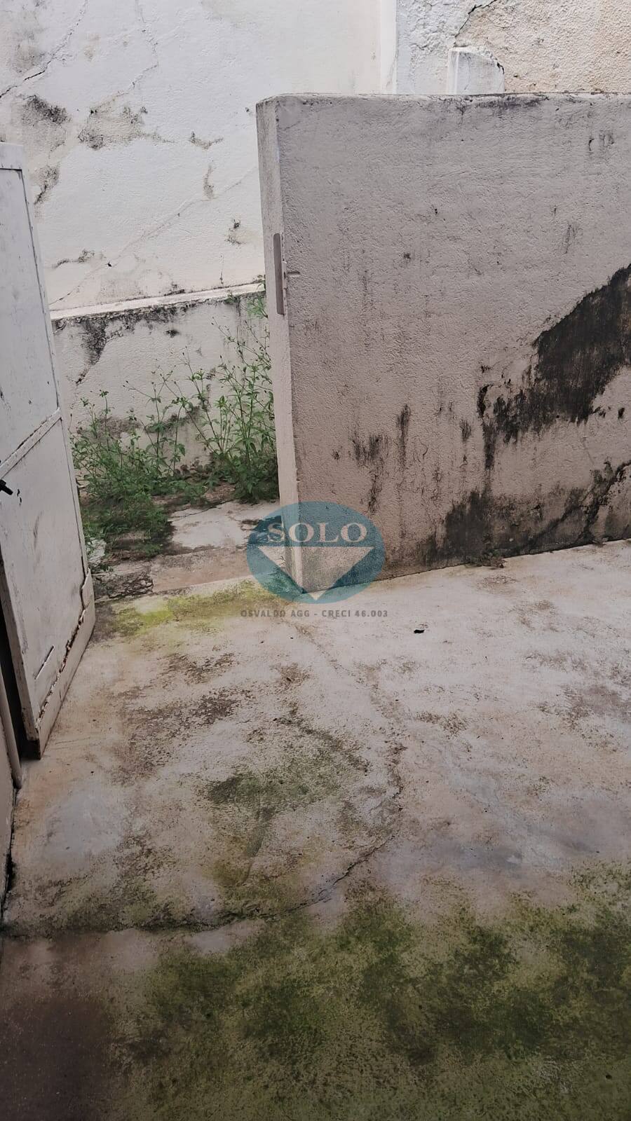 Casa, 3 quartos, 300 m² - Foto 13
