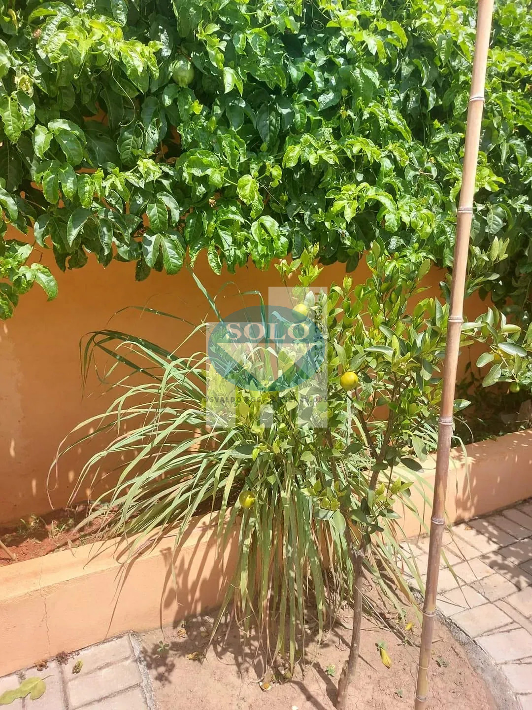 Casa, 2 quartos, 150 m² - Foto 13
