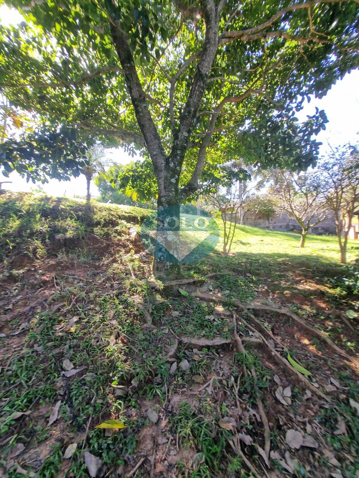 Casa, 3 quartos, 4380 m² - Foto 26