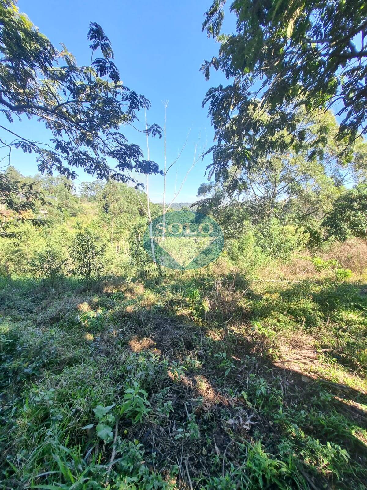 Casa, 3 quartos, 4380 m² - Foto 27